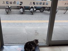 -全心全意连锁动物医院·微创中心·内科急重症·心脏专科(丰管路店)