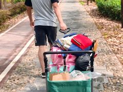 -合肥滨湖国家森林公园