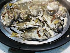 -青蓬蒸汽海鲜·深圳老字号·团建聚会(壹方城店)
