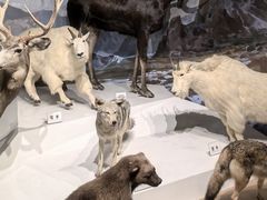 -陕西自然博物馆