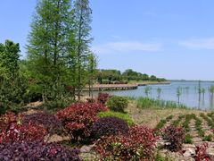 -南京枫彩漫城