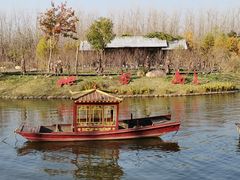 -合肥滨湖国家森林公园