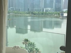 -金沙湖公园