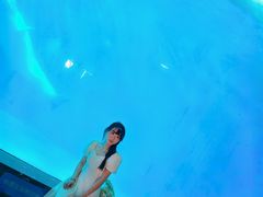-海合安成都极地海洋公园