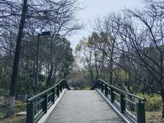 -青枫公园