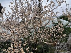 -樱桃山旅游景区