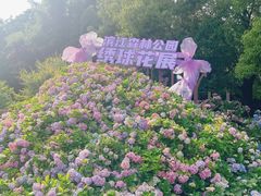 -上海滨江森林公园