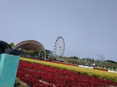 -百万葵园