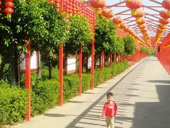 -湖南湘都生态农业园