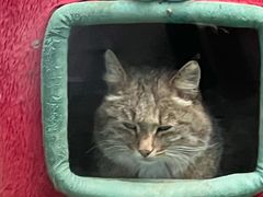 -青藏高原野生动物园
