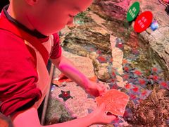 -沈阳海洋探索中心