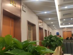 大堂-九头鸟酒家(四道口店)