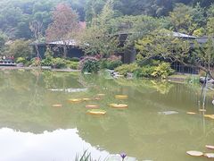 -云溪植物园
