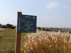 -空港花田景区