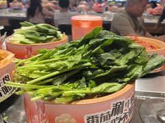 -龍歌自助小火锅(市北台东利群店)