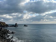 -涉地可支