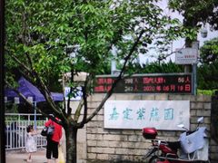 -嘉定紫藤园