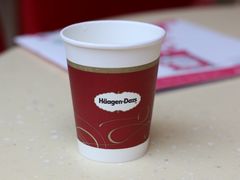 -哈根达斯(扬州瘦西湖店)