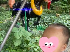 -南湖梦幻岛