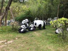 -泉州海丝野生动物世界