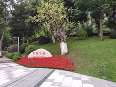 -百林公园-两江幸福广场