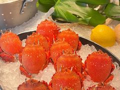 -Social 秀西餐厅-长沙瑞吉酒店(运达店)