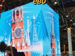 -谢列梅捷沃国际机场