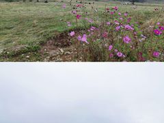 -石棉县孟获城