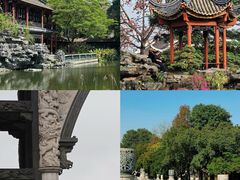 -顺峰山公园