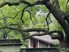 -虎跑公园