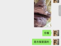 -福奈特洗衣洗鞋(环球港店)