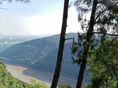 -铁山坪森林公园