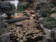 -伯先公园