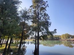 -贡湖湾湿地公园