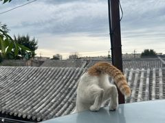 -前叁門