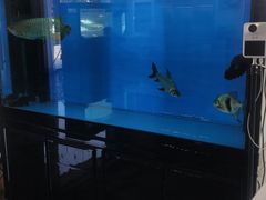 -蓝希酒店·天津河东万达广场店(天津武警医院店)