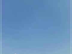 -世界恐龙谷景区