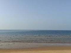 -鱼满舱·鲜活海鲜·正宗鲁菜
