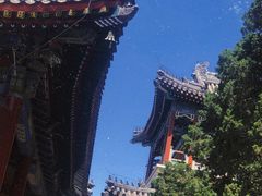 -北京艺术博物馆(万寿寺)