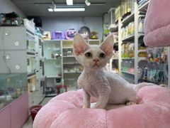 -天丰利生活MALL(和平里店)