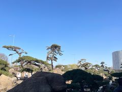 -罗红摄影艺术馆