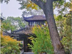 -怡园饭店-餐厅(四望亭店)