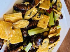 -明海妈妈菜(大连外国语学院店)