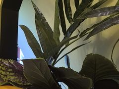 -贝勒爷·酥不腻烤鸭