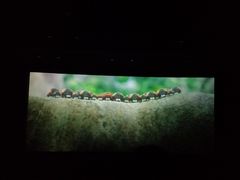 -浙影时代影城·宁波东门银泰店(原宁波时代电影大世界)