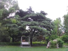 SDC11271-上海瑞金洲际酒店