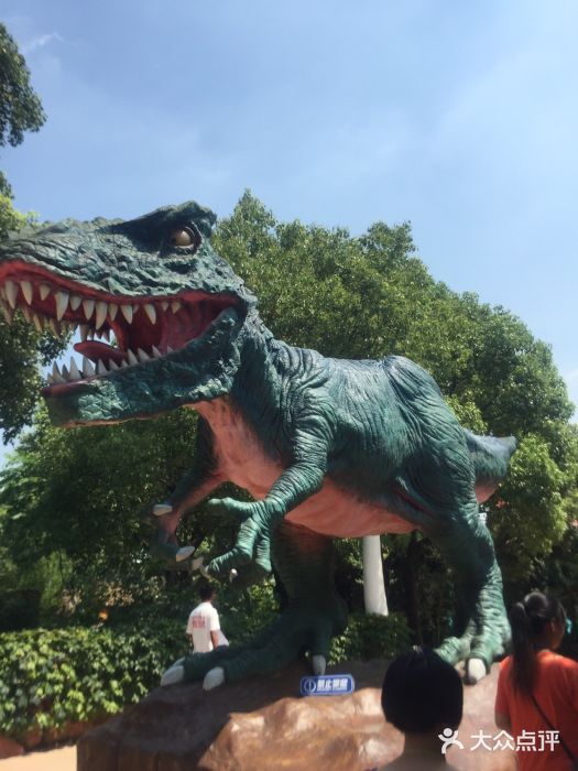 热带风暴水上乐园图片