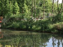 -桤木河湿地公园