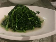 -高老庄绿色传奇(昊元生活广场店)