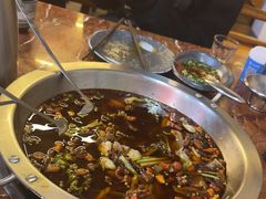 -耗儿鱼蛙蛙叫·老成都火锅(蛇口海昌街店)